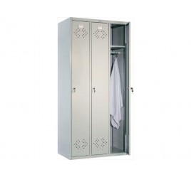 Практик LS 31