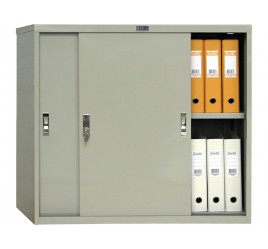 Практик AMT 0891